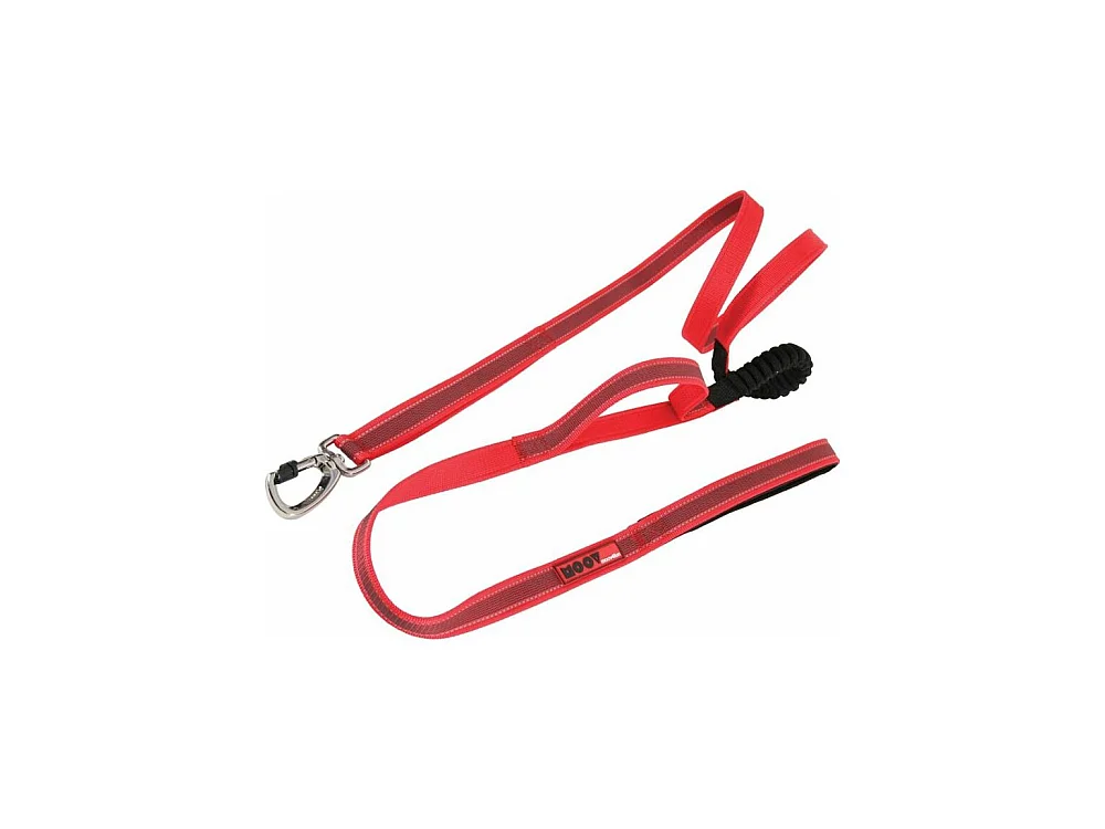 Laisse chien spéciale randonnée Moov