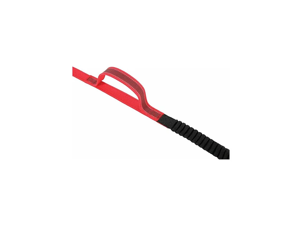 Laisse chien spéciale randonnée Moov