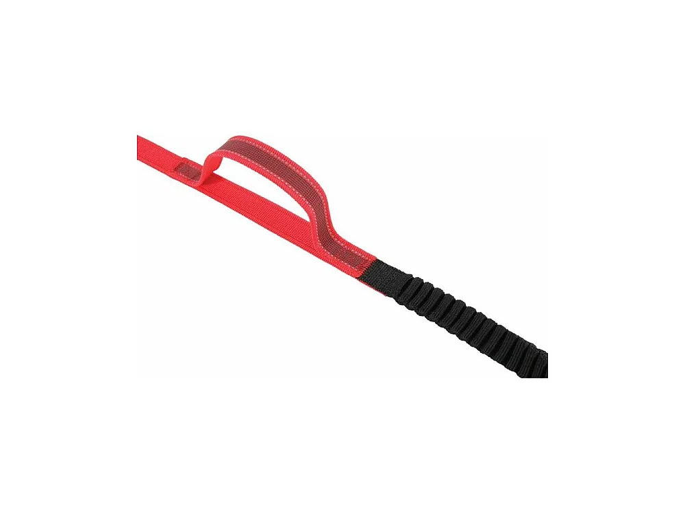 Laisse chien spéciale randonnée Moov