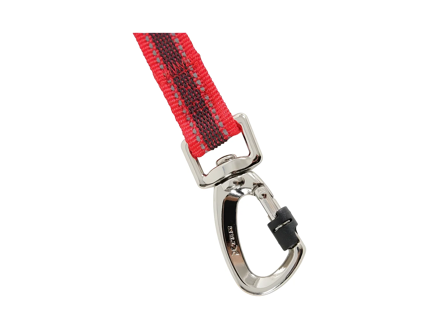 Spezielle Hundeleine zum Joggen und Mountainbiken von Moov