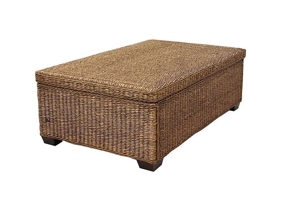 Table basse en jacinthe