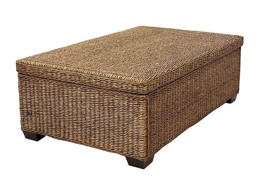 Table basse en jacinthe