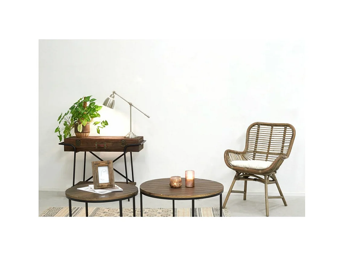 Tables basses en métal et bois (Lot de 2)