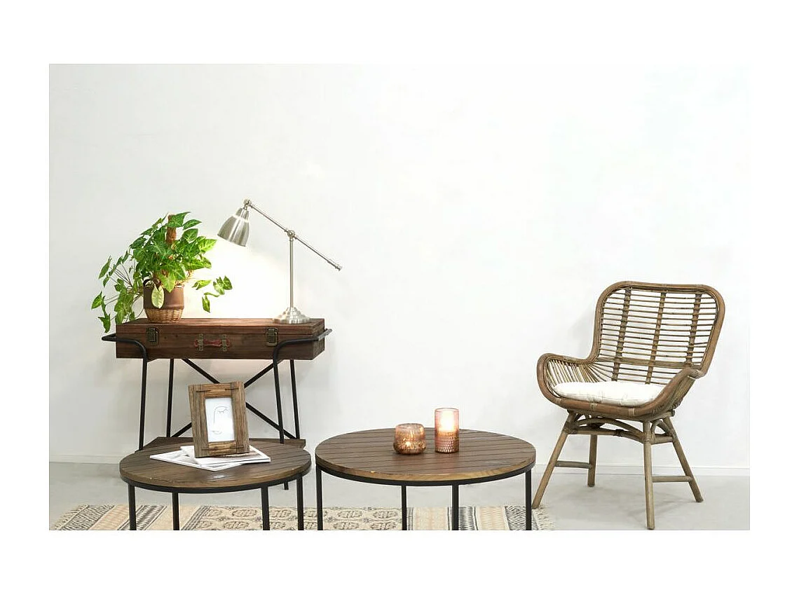 Tables basses en métal et bois (Lot de 2)