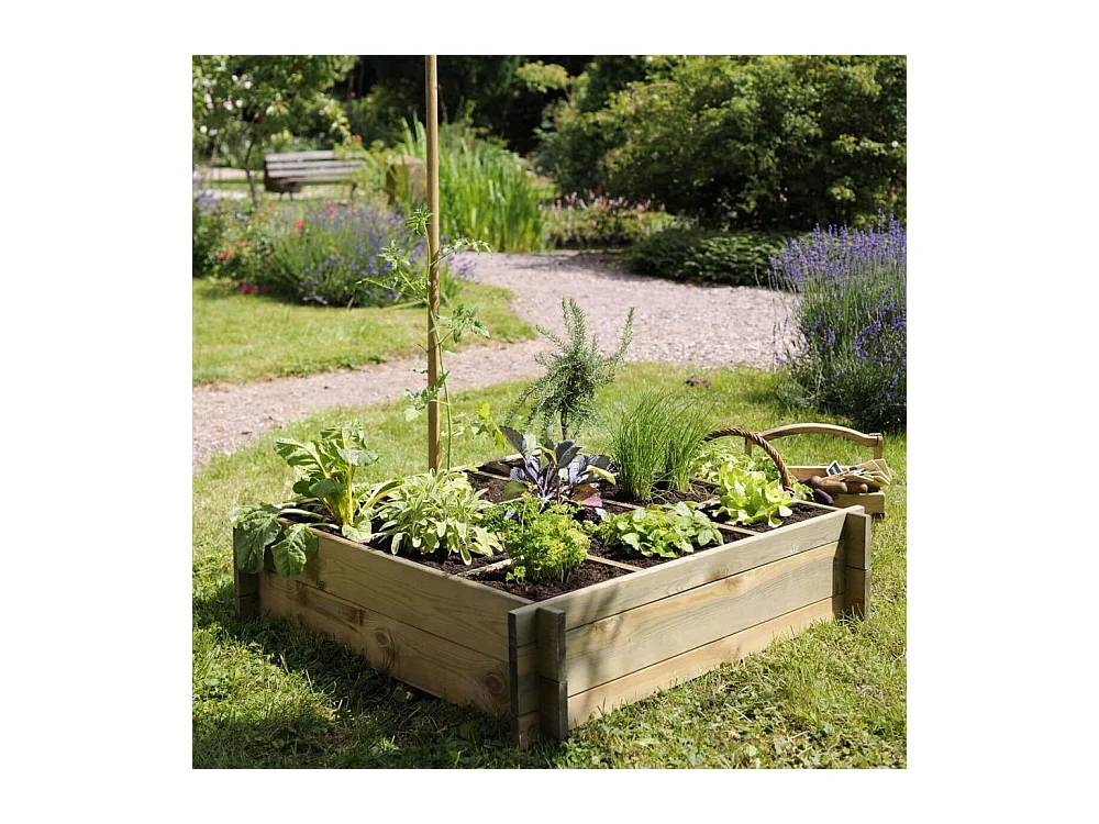 Carré potager à poser 9 cases Cardon
