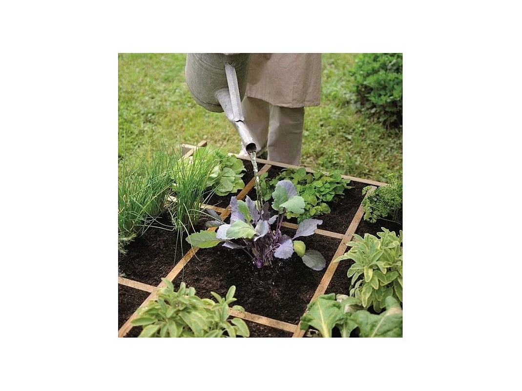 Carré potager à poser 9 cases Cardon