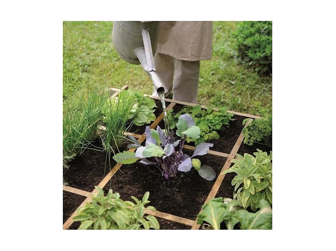 Carré potager à poser 9 cases Cardon