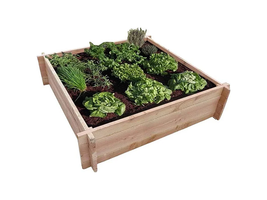 Gemüsebeet aus Holz der Douglasie