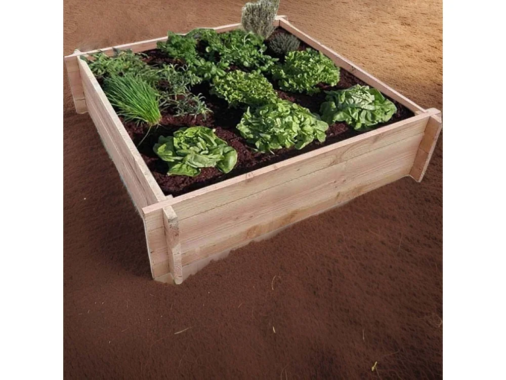 Huerto de abetos de Douglas