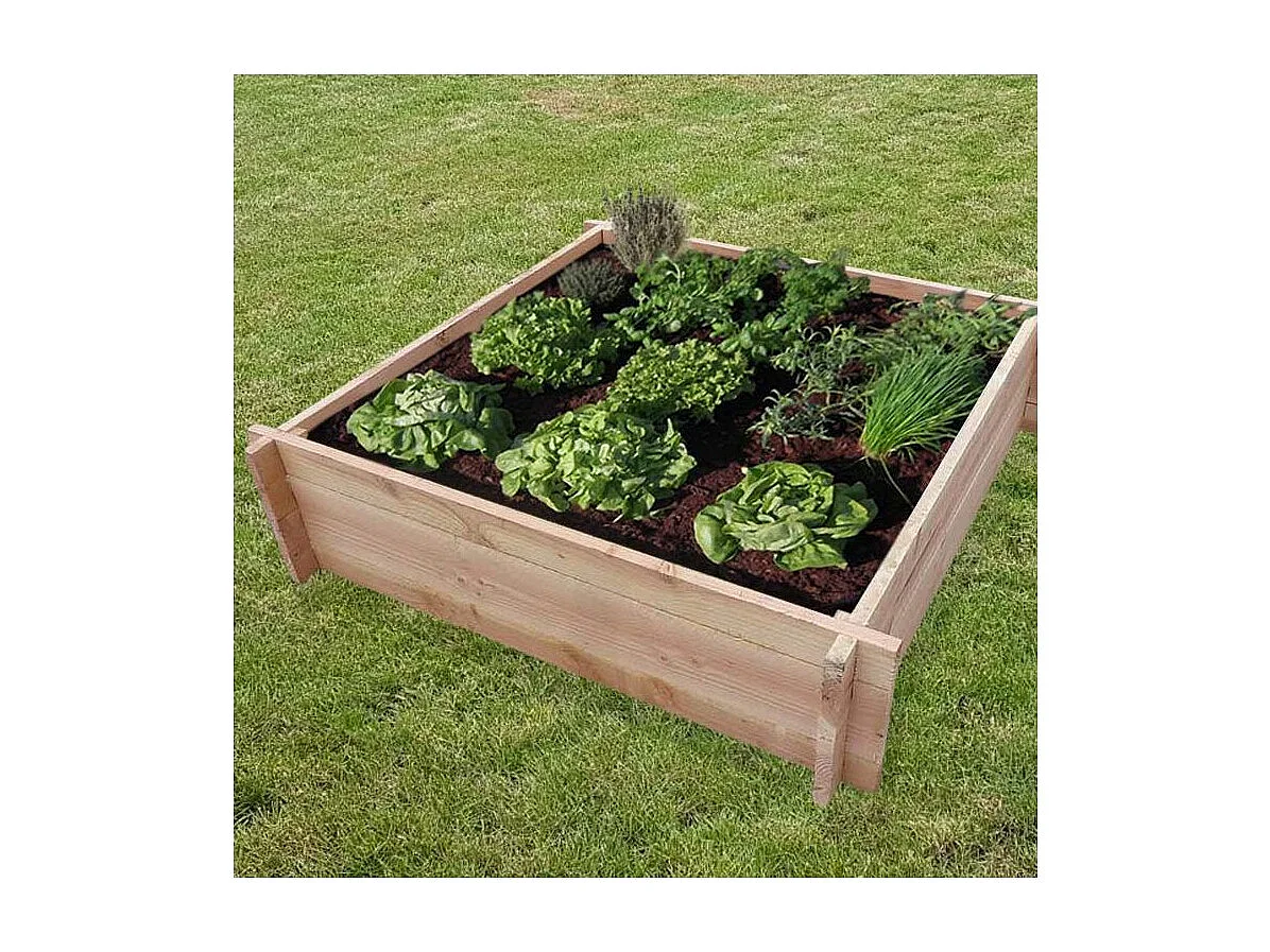 Huerto de abetos de Douglas