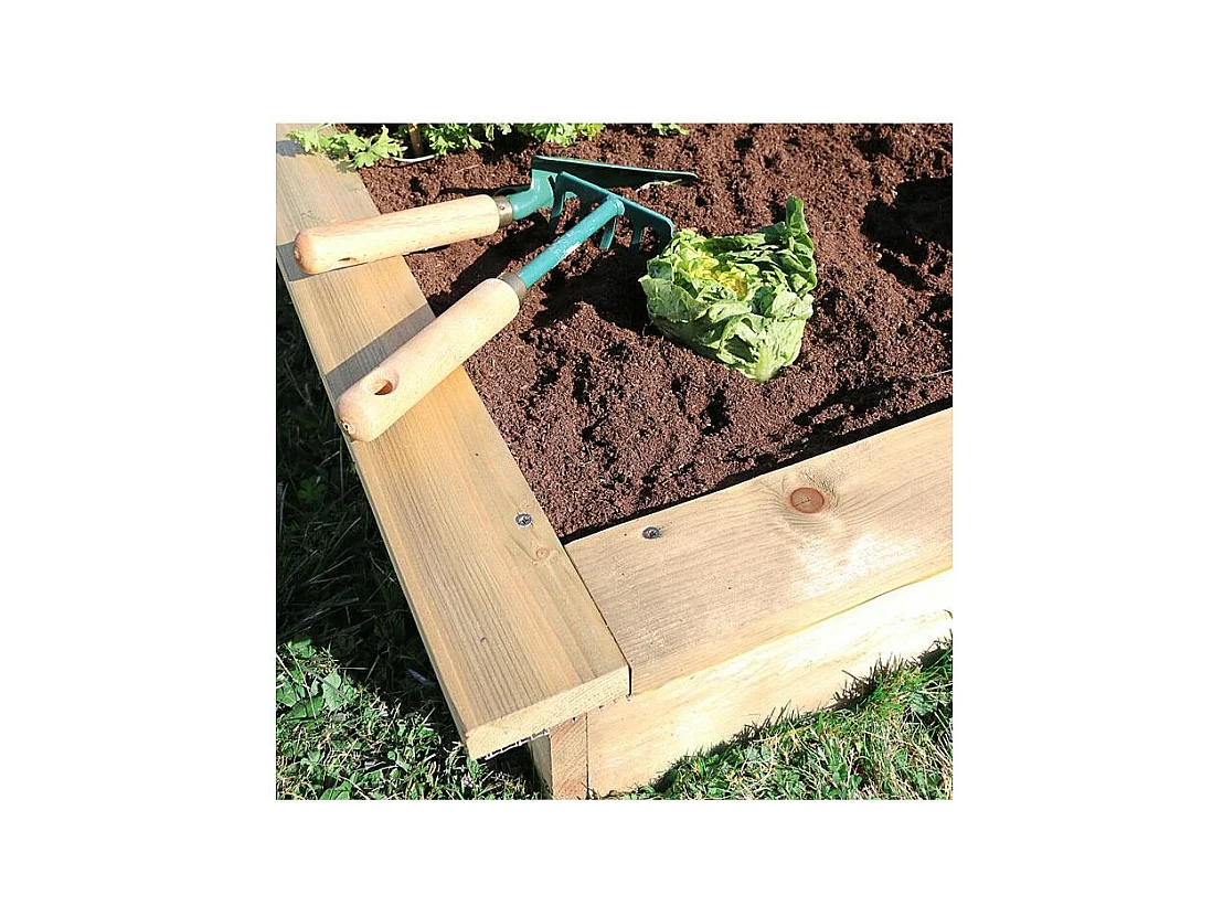 Carré potager anti limaces en pin