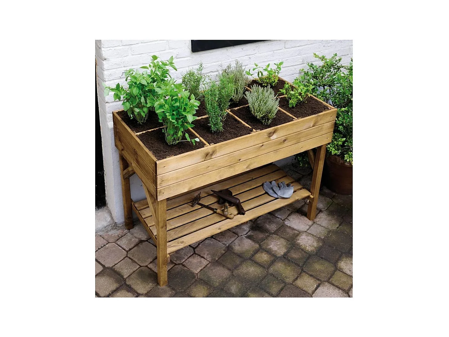 Potager surélevé 8 carrés en pin naturel