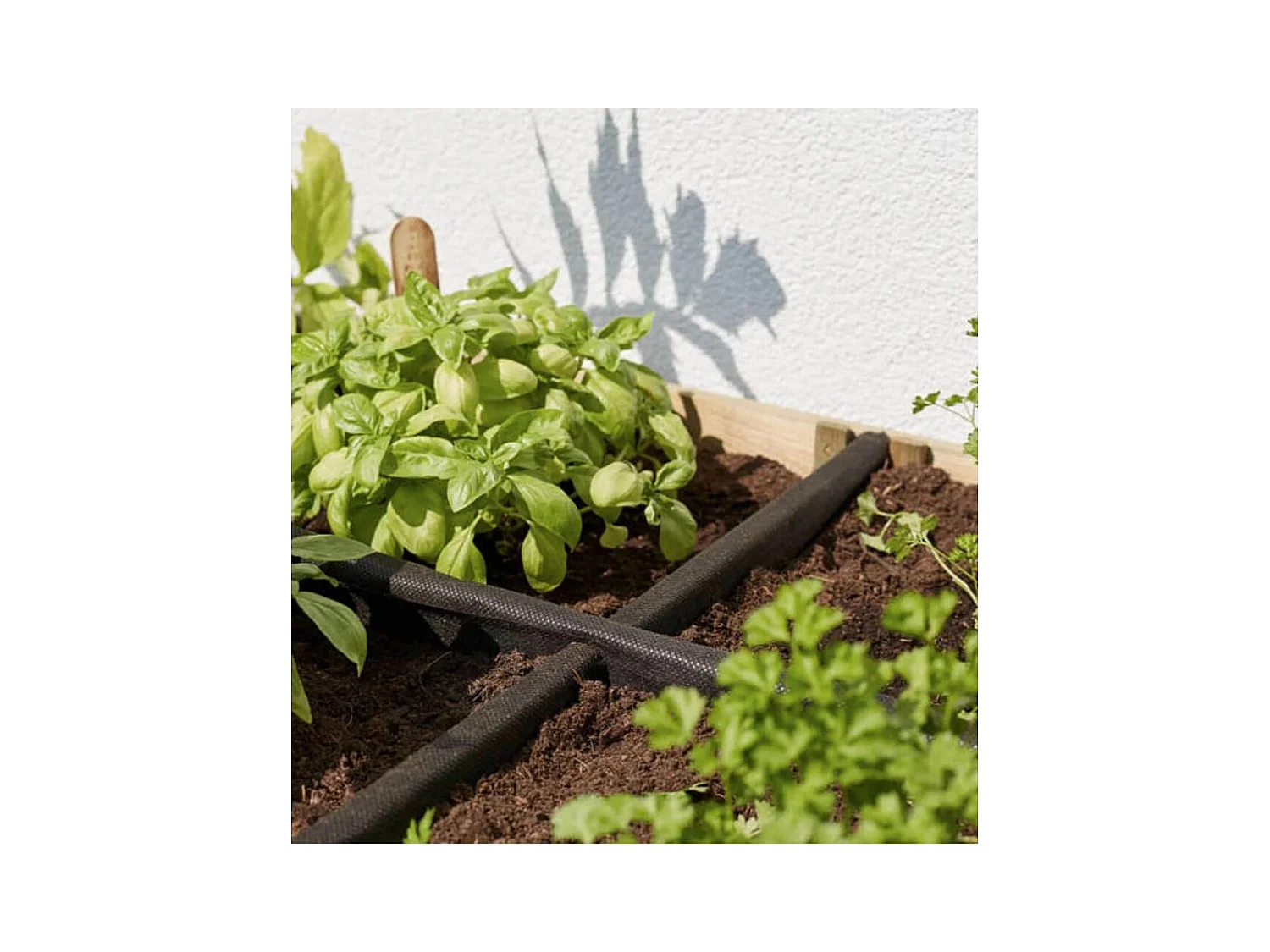 Potager surélevé 8 carrés en pin naturel