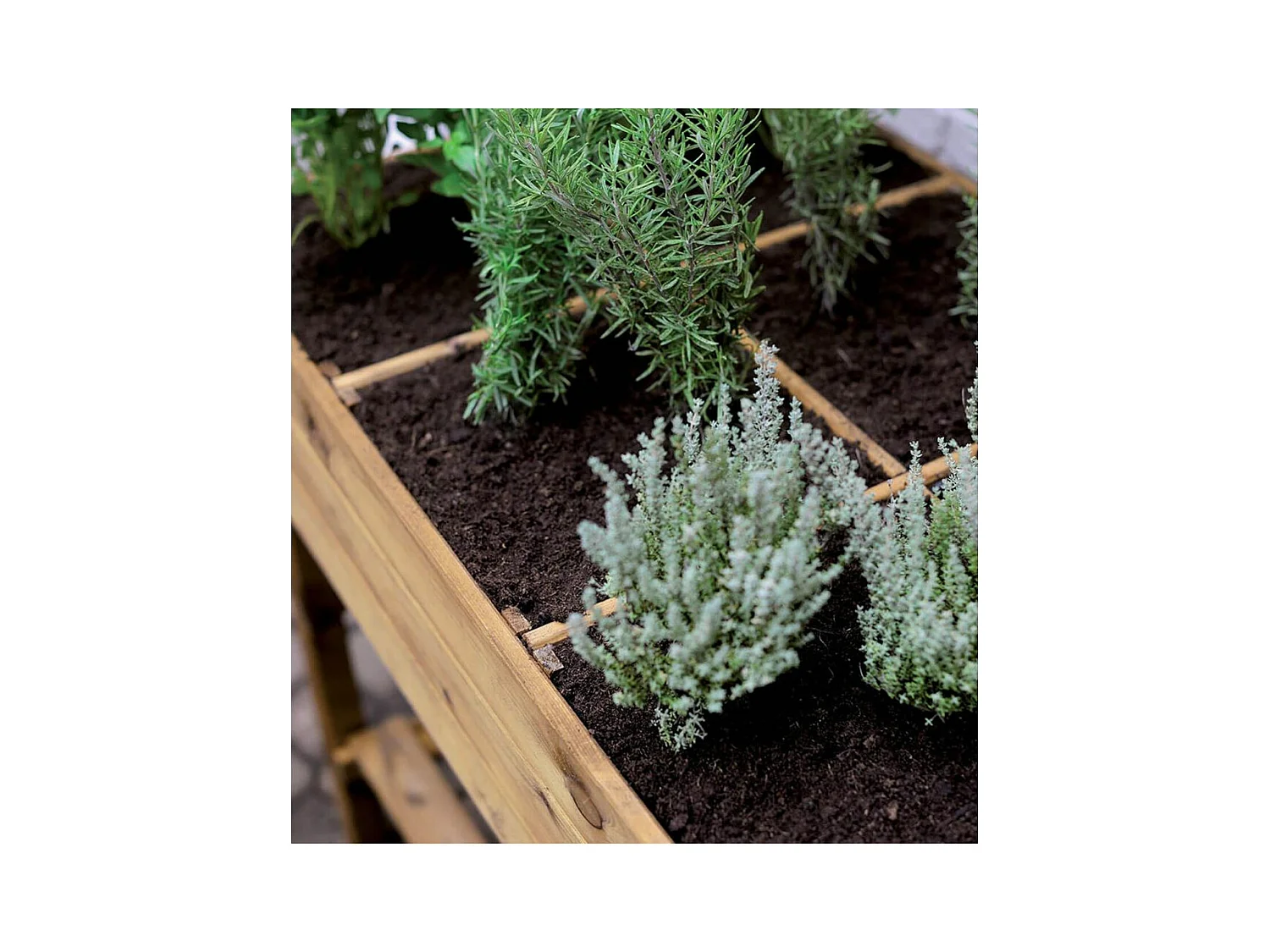 Potager surélevé 8 carrés en pin naturel