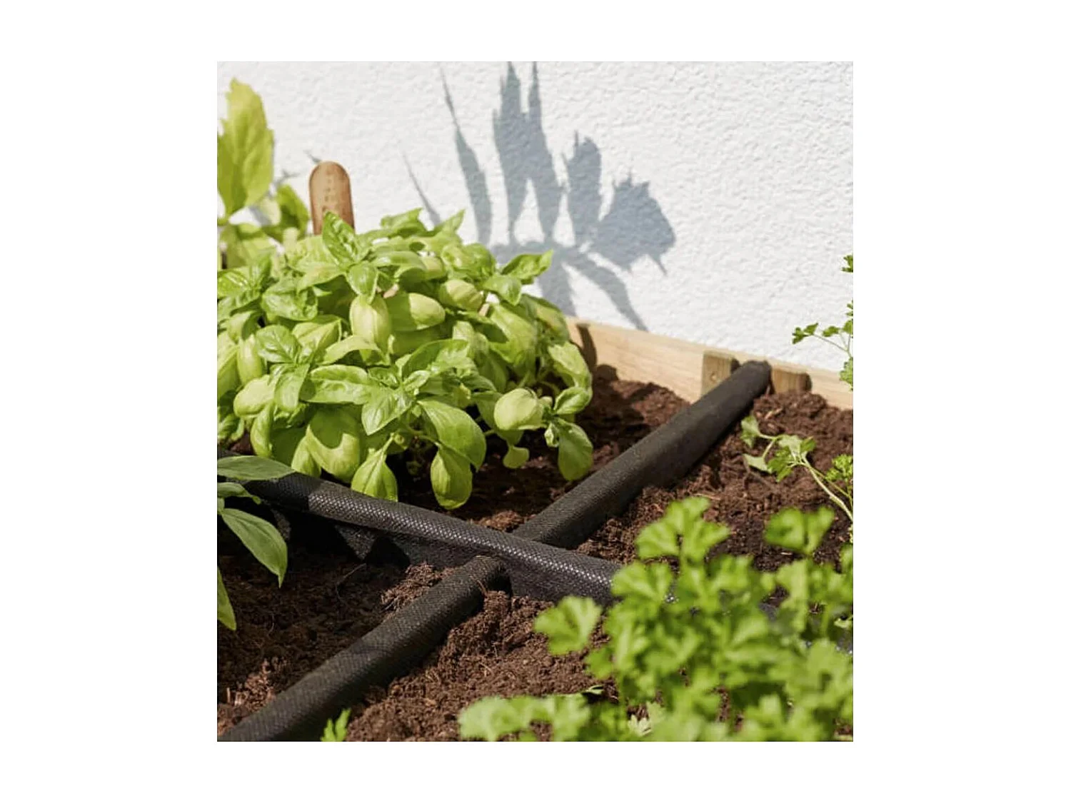 Potager surélevé 8 carrés en pin naturel