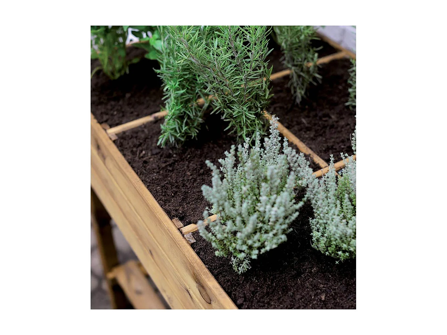 Potager surélevé 8 carrés en pin naturel