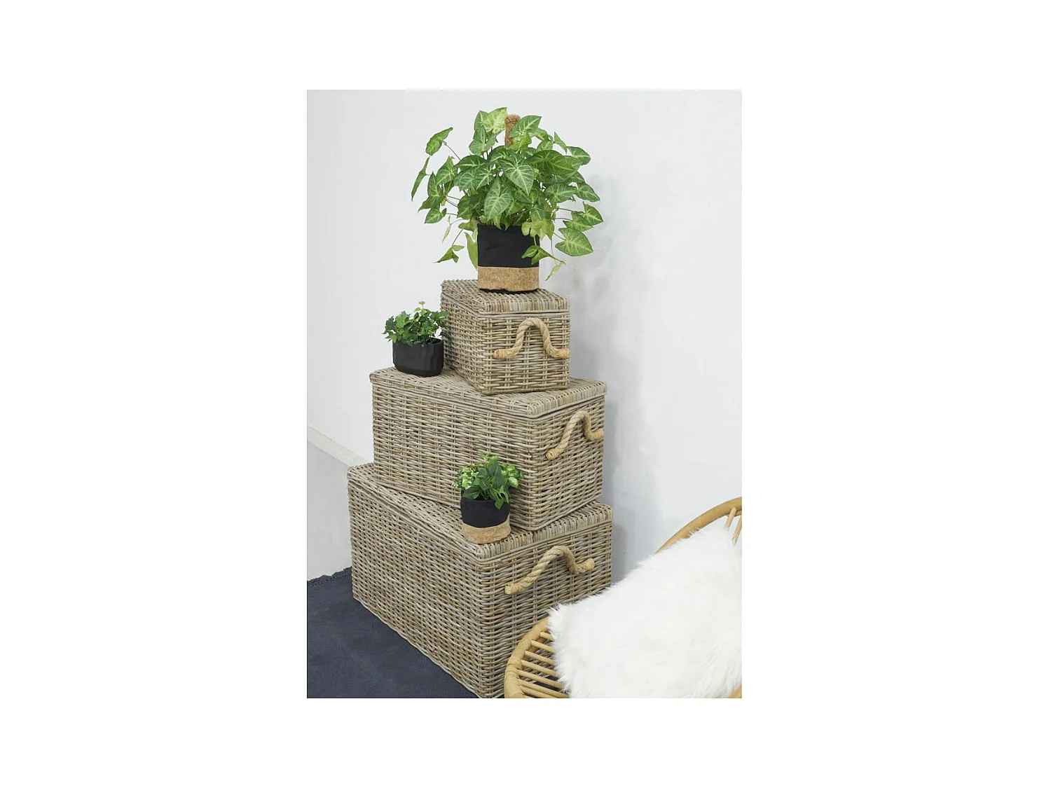 Coffres en poelet naturel (Lot de 3)