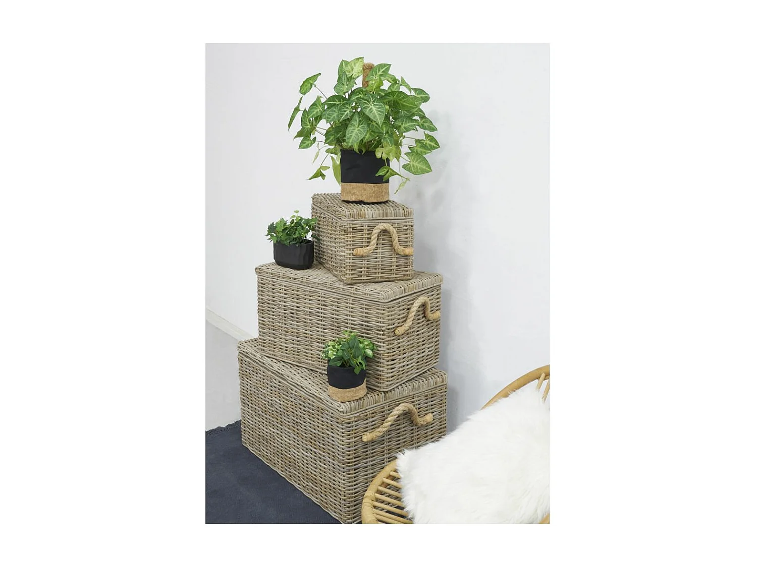 Coffres en poelet naturel (Lot de 3)