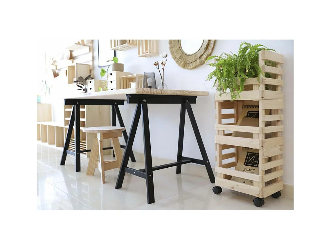 Caisse de rangement sur roulettes Evolution (Lot de 3)