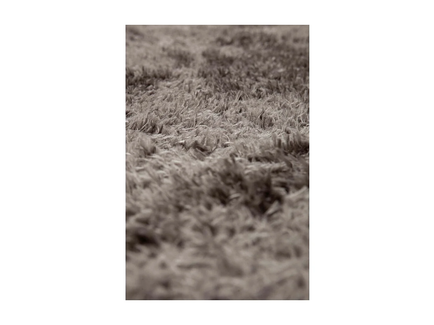 Tapis en polyester Miky Gris