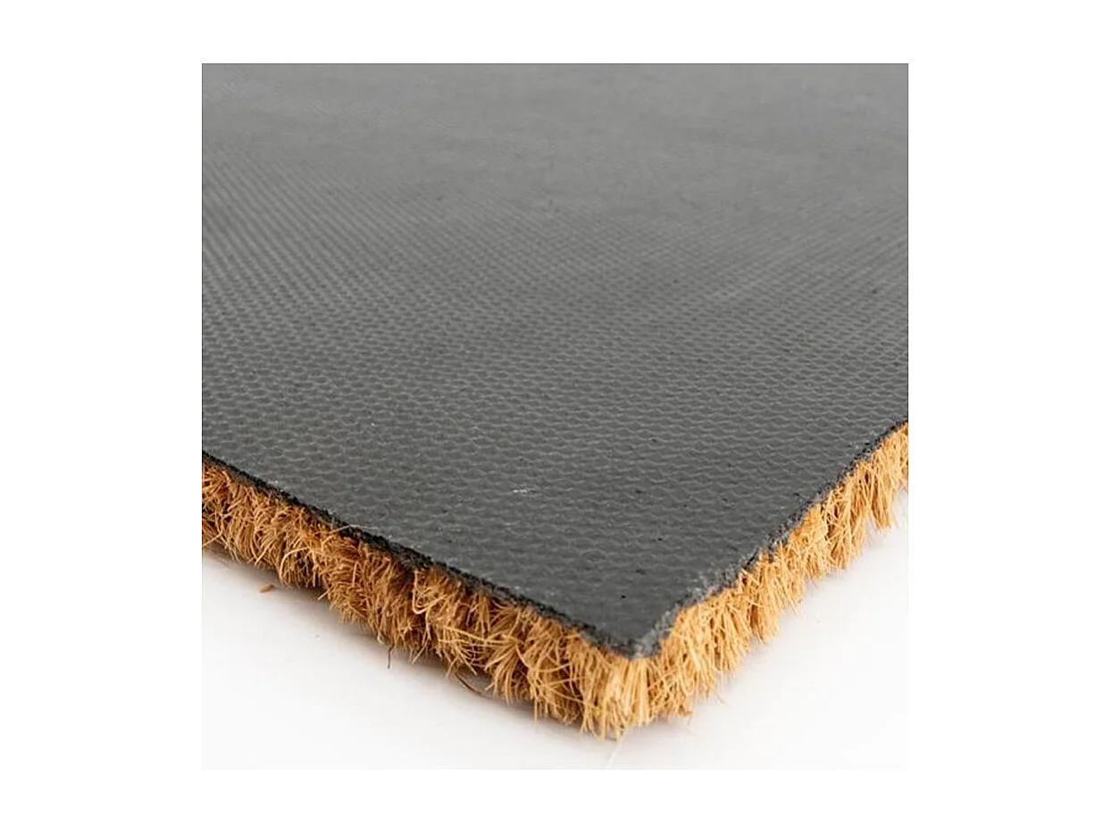 Paillasson en fibre de coco 60 x 40 cm Cactus hello