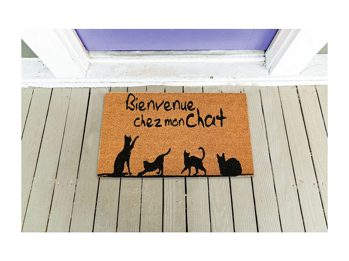 Paillasson coco intérieur extérieur 75 x 45 cm Bienvenue chez mon chat