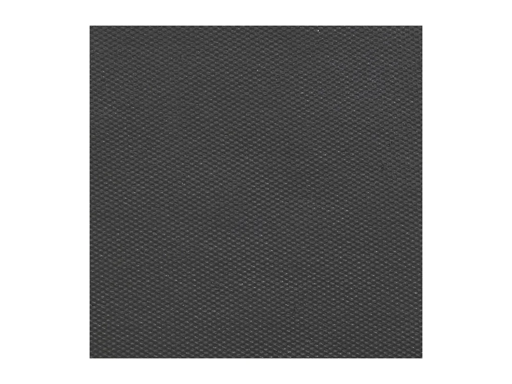 Paillasson coco teintée 75 x 45 cm Panthère