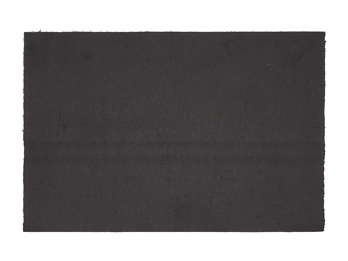 Paillasson en coco et PVC 60 x 40 cm Arrosoir