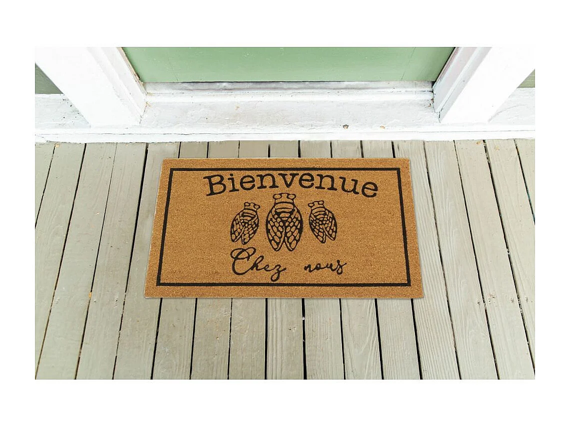 Paillasson coco intérieur extérieur 75 x 45 cm Cigales bienvenue chez nous