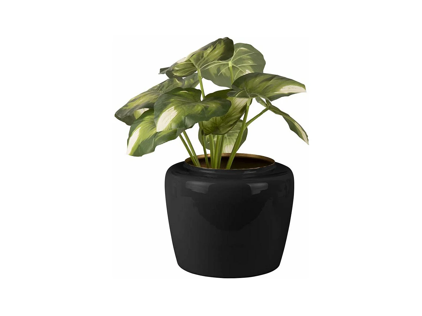 Vase en métal Plant 20 x 25 cm Noir