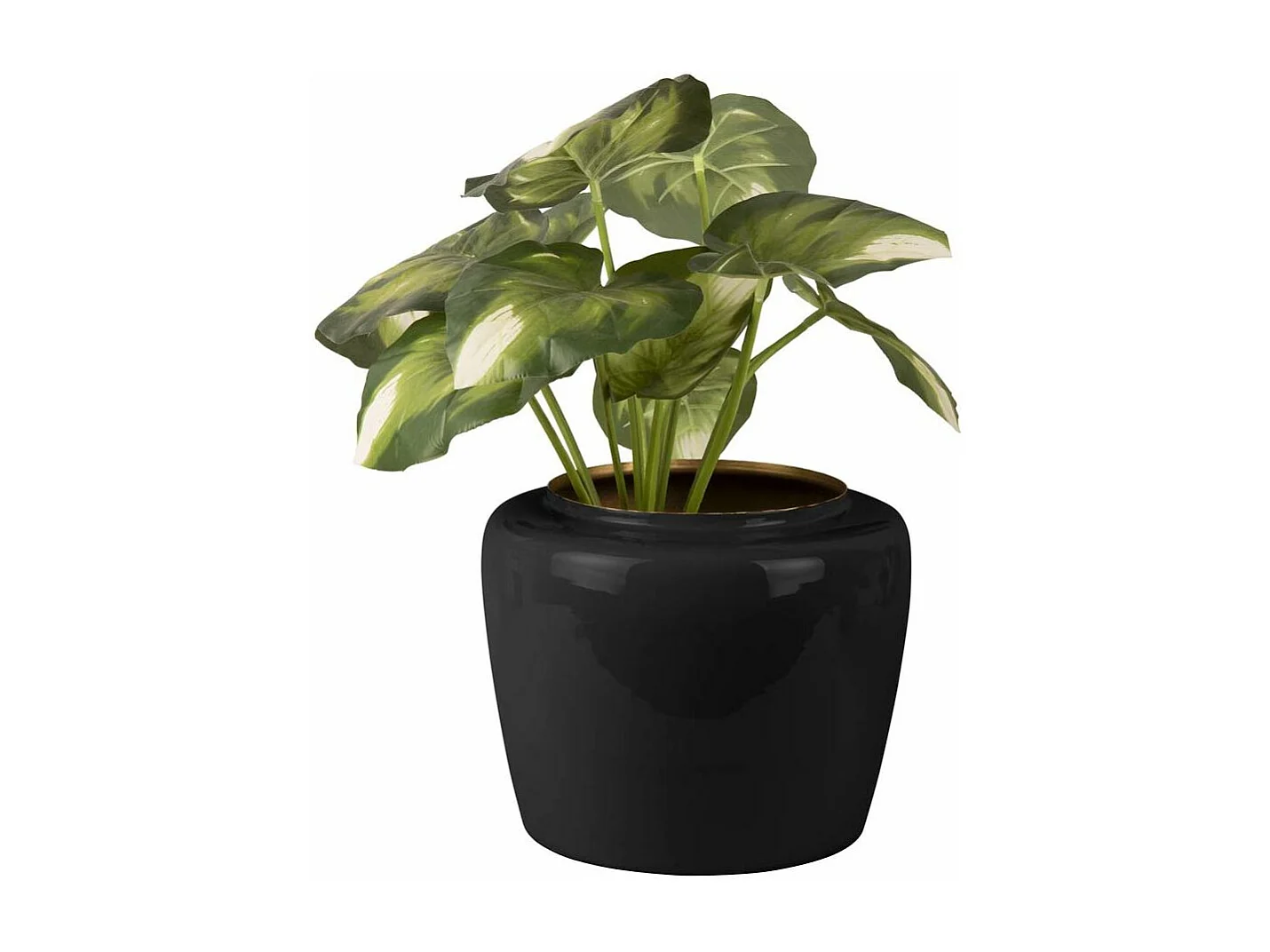 Vase en métal Plant 20 x 25 cm Noir