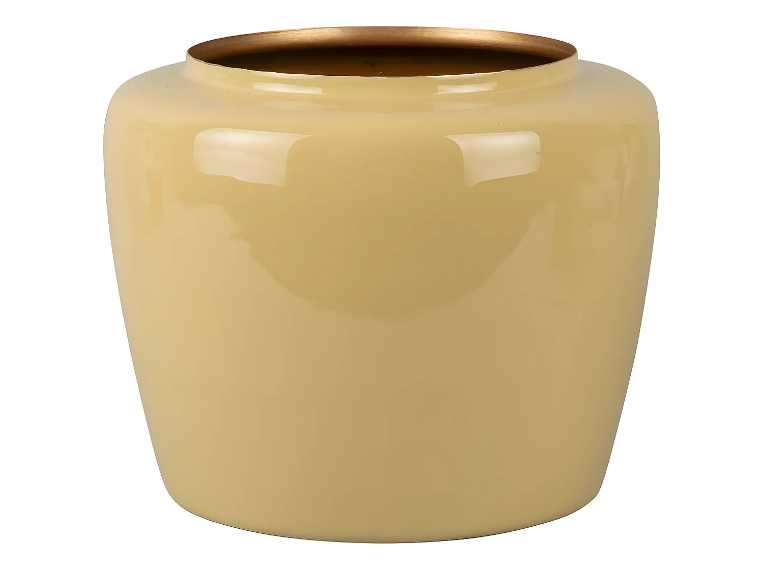 Florero de metal Planta 20 x 25 cm