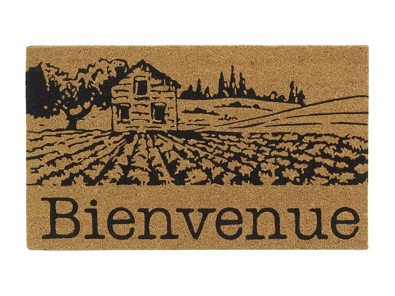 Paillasson coco intérieur extérieur 75 x 45 cm Village de Provence bienvenue