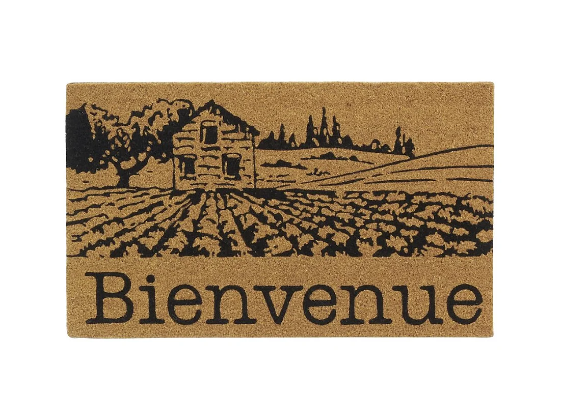 Paillasson coco intérieur extérieur 75 x 45 cm Village de Provence bienvenue