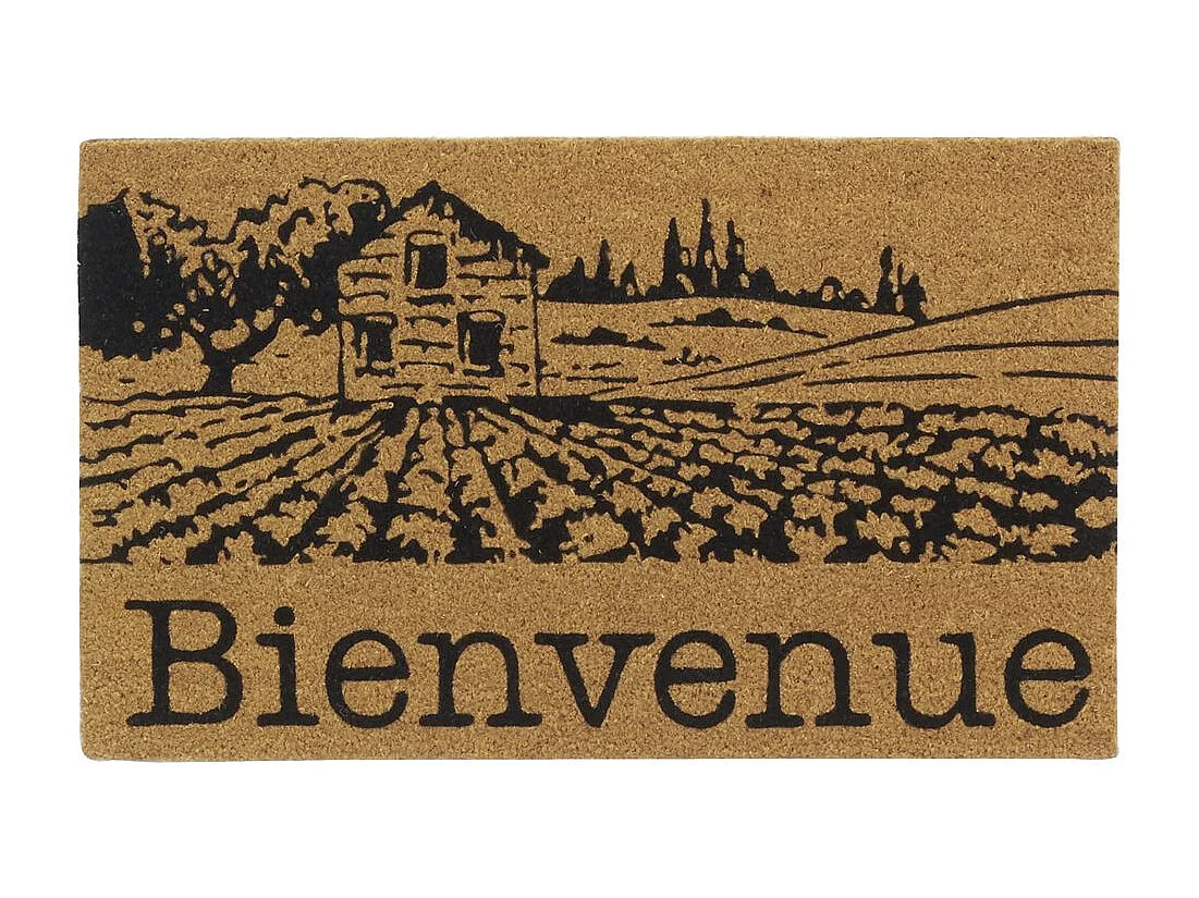 Paillasson coco intérieur extérieur 75 x 45 cm Village de Provence bienvenue