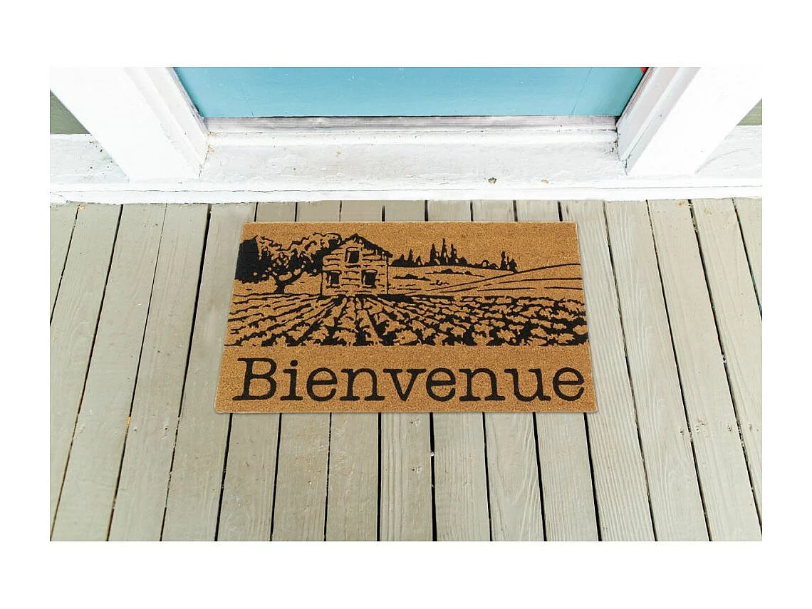 Paillasson coco intérieur extérieur 75 x 45 cm Village de Provence bienvenue