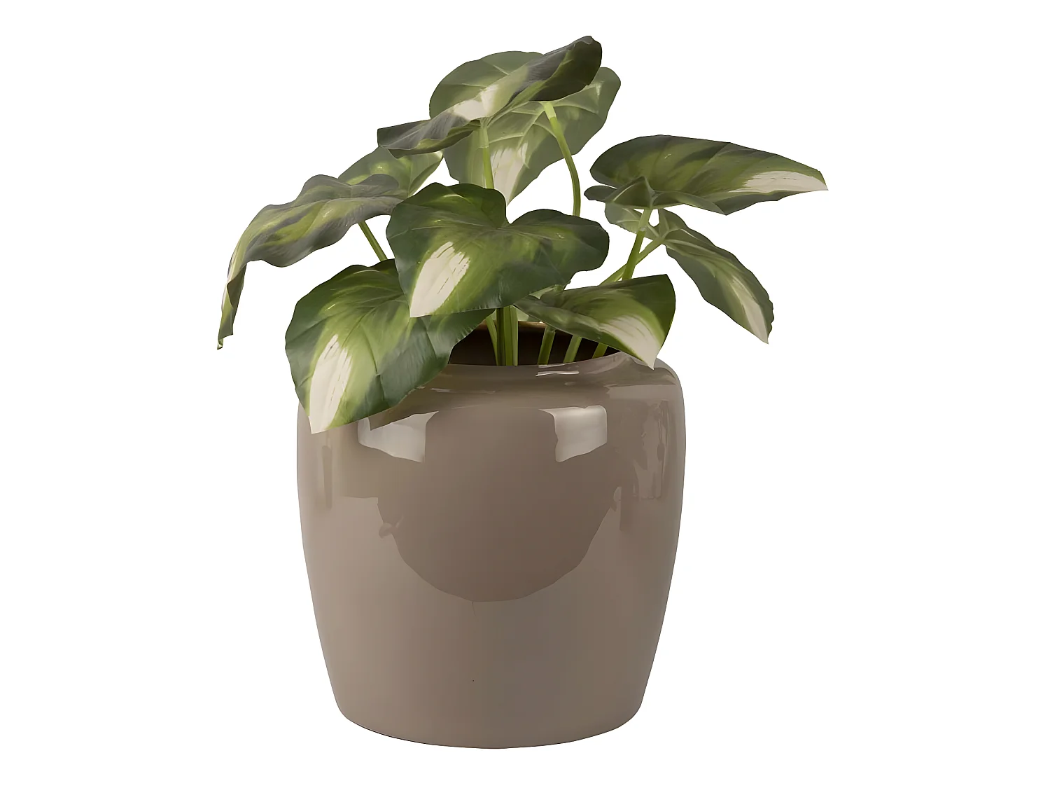 Vase en métal Plant 25 x 23.5 cm Noir