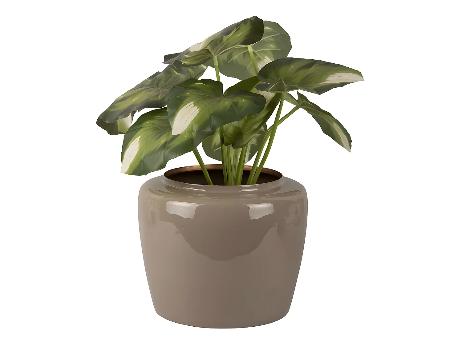 Vase en métal Plant 20 x 25 cm