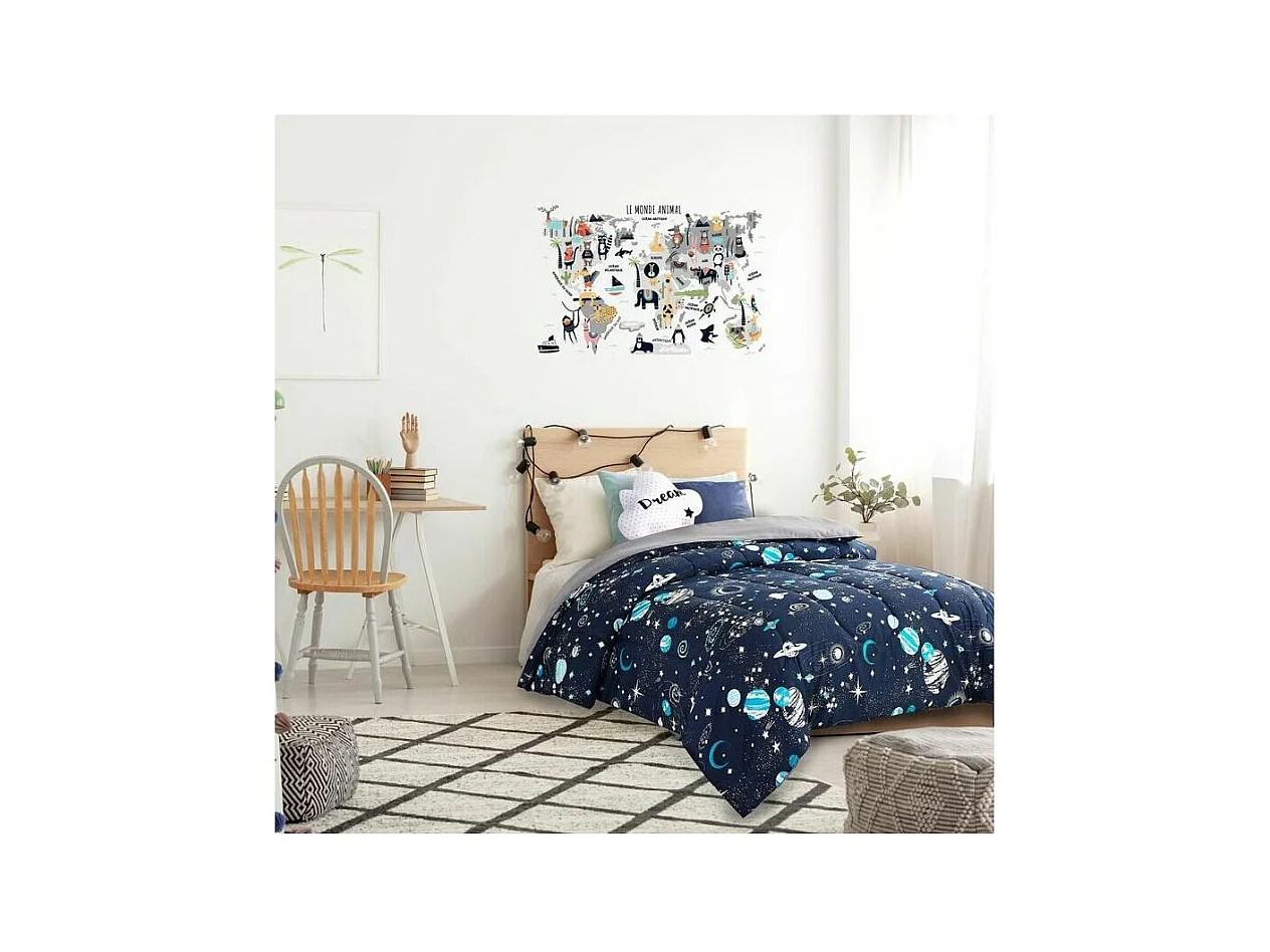 Sticker mural Mappemonde 90x60 cm Continents gris