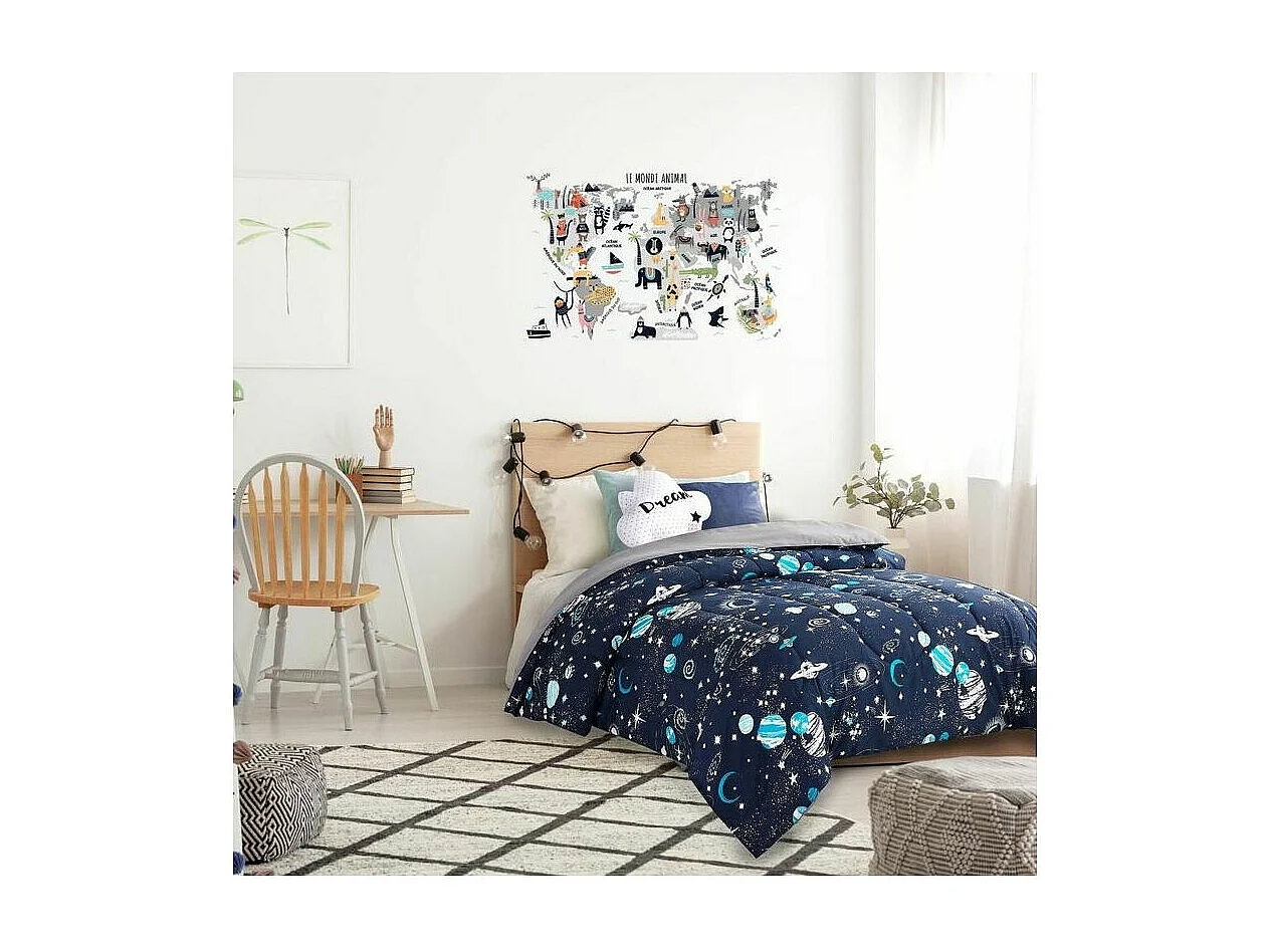 Sticker mural Mappemonde 90x60 cm Continents gris