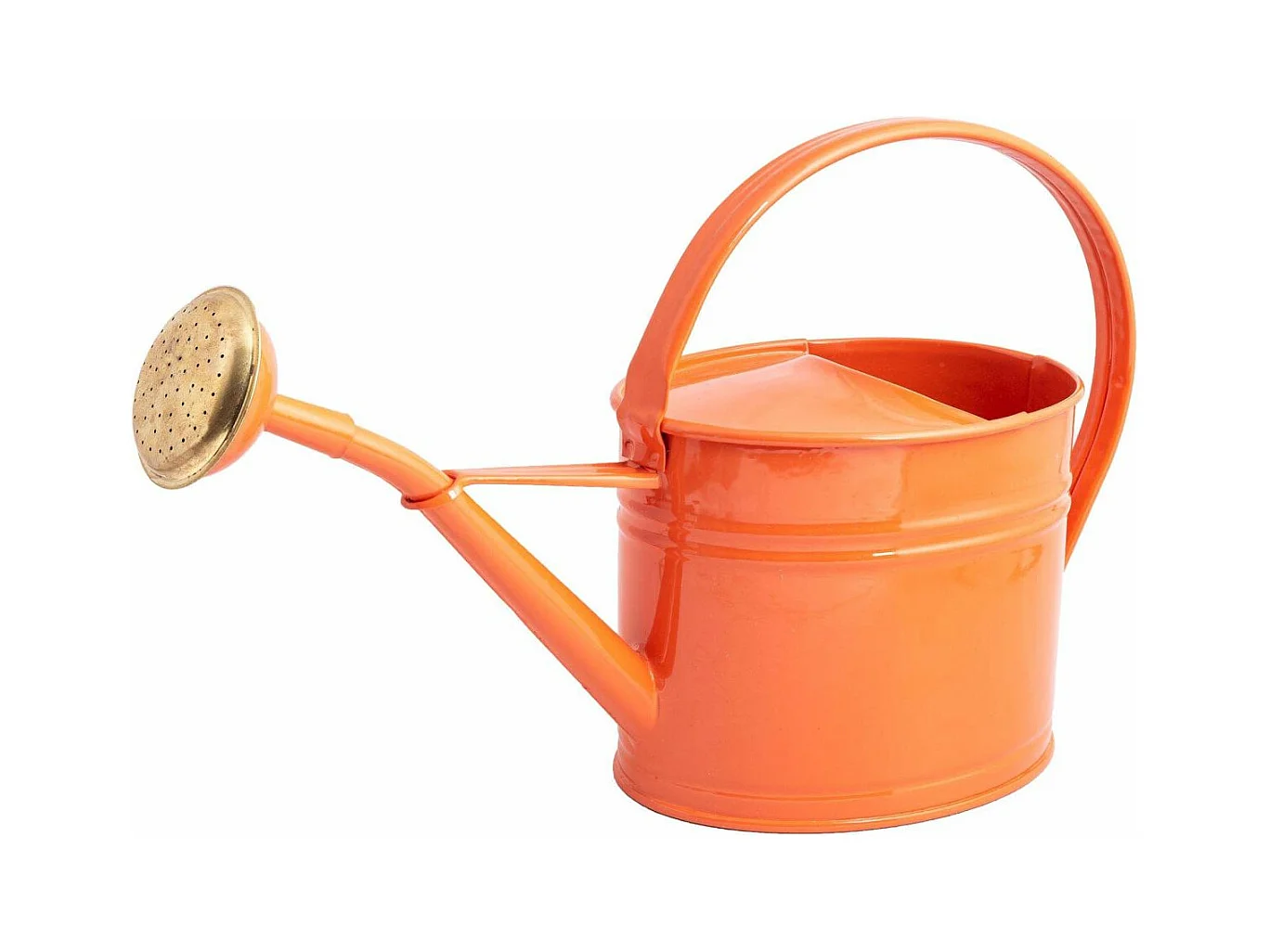 Regadera de acero galvanizado con cabeza de 1,75 litros