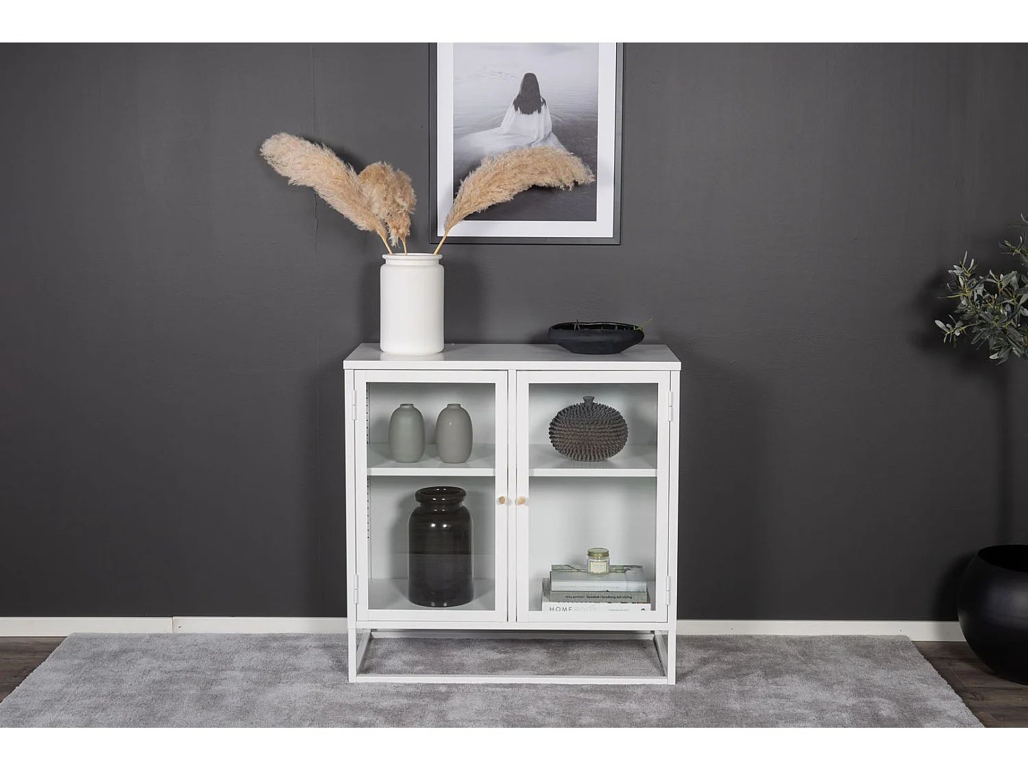 Bakal dressoir 2 glasdeuren, 2 planken, wit.