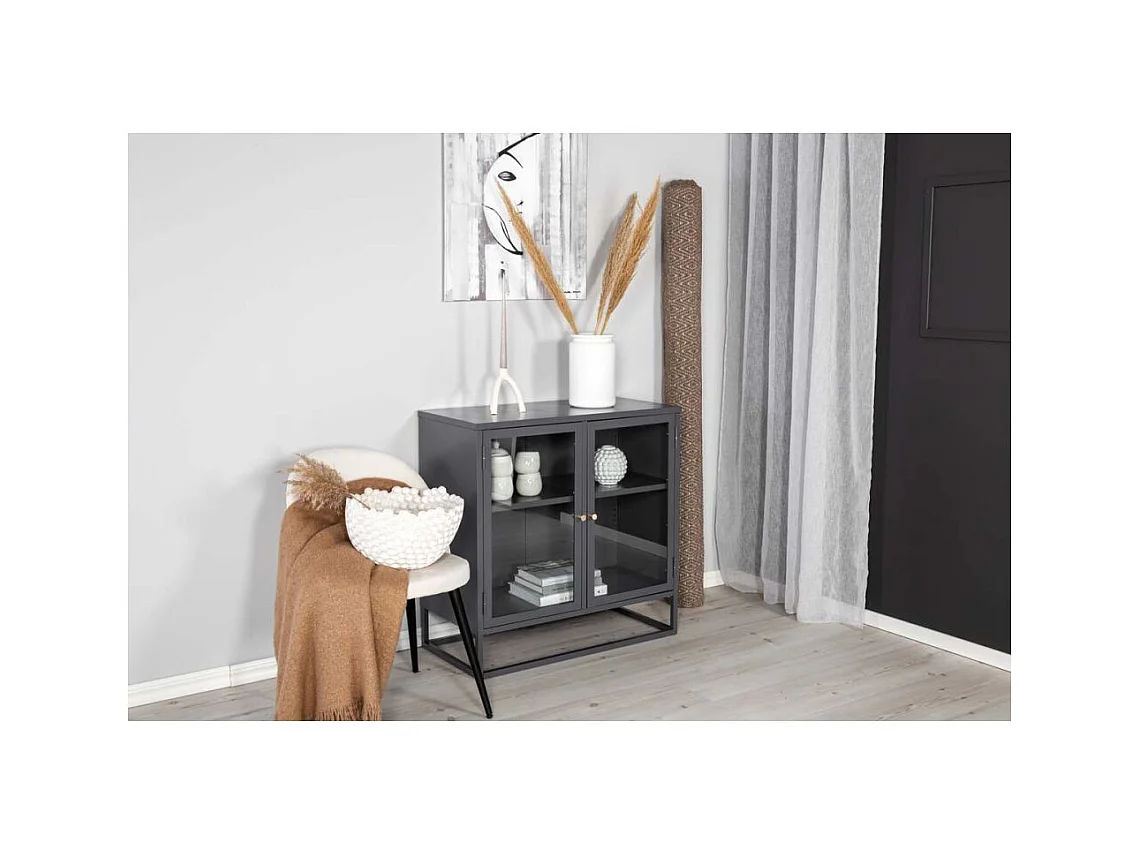 Aparador de acero de 2 puertas Bakal