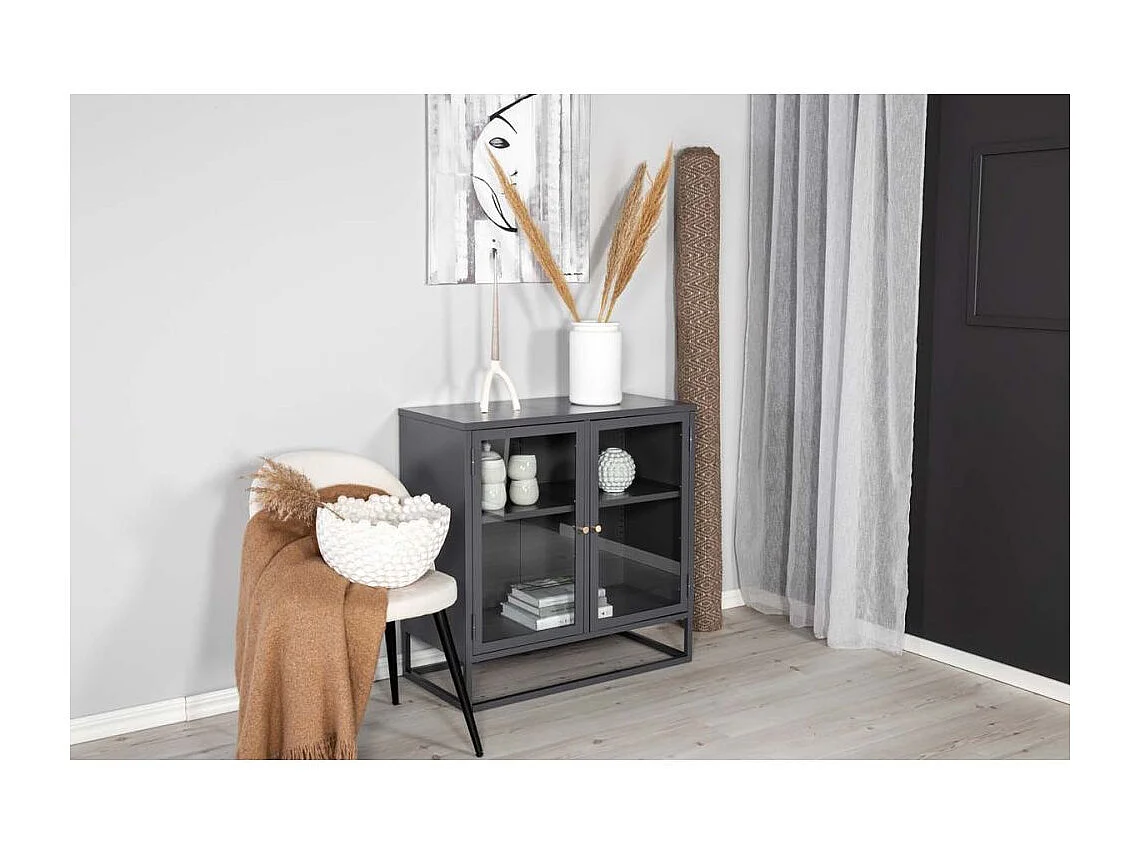 Bakal dressoir 2 glasdeuren, 2 planken, zwart.