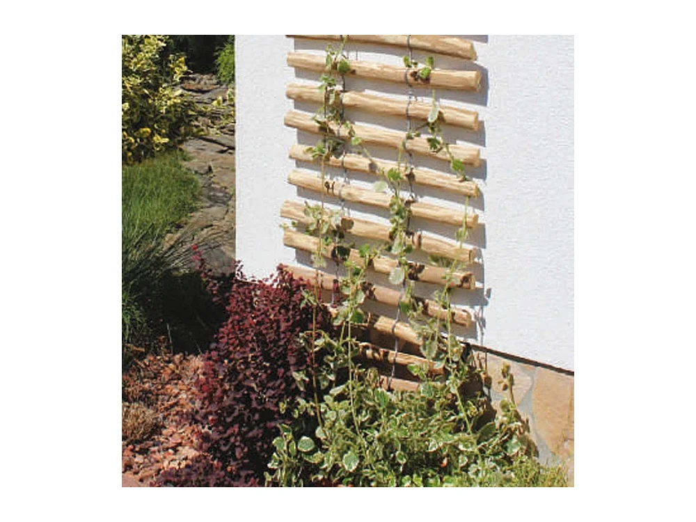 Support mural en noisetier