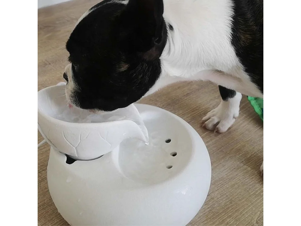 Fuente de diseño cerámico Toby