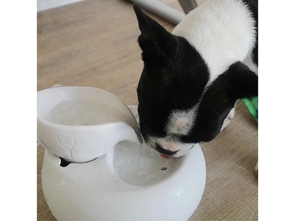 Fuente de diseño cerámico Toby