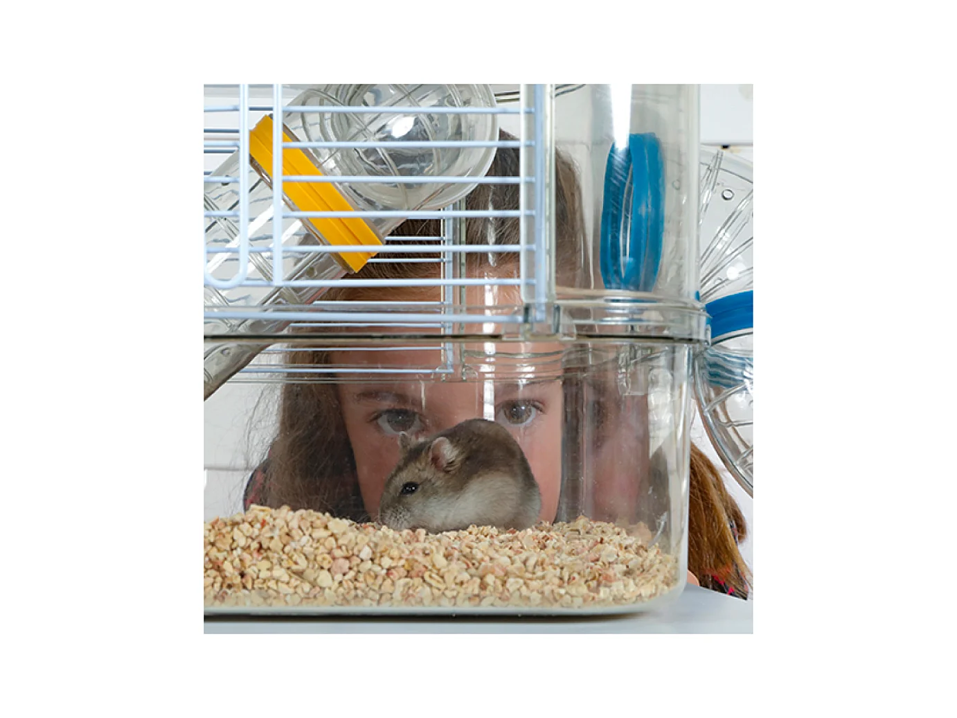 Jaula para roedores pequeños Rody 3 mini