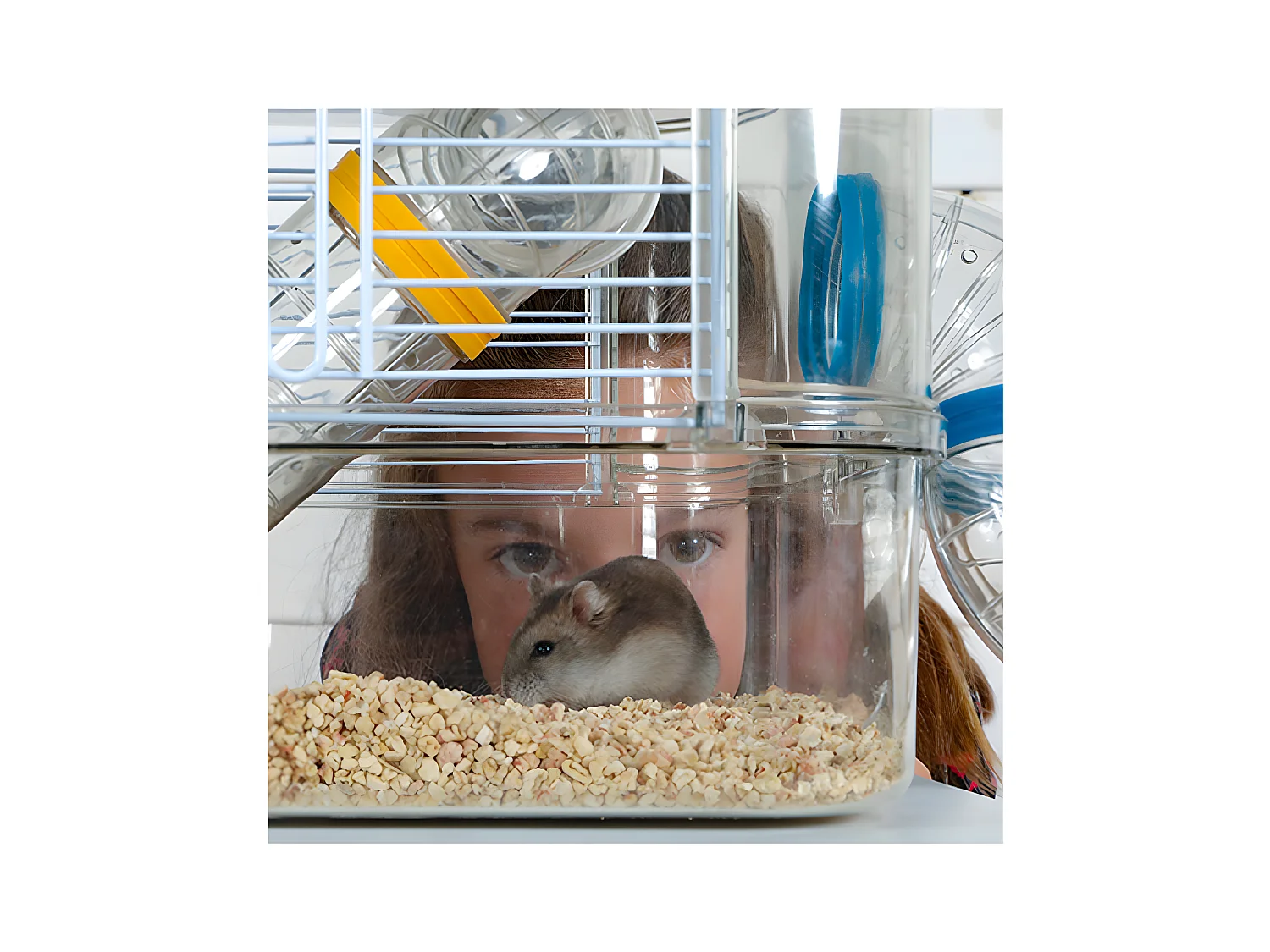 Jaula para roedores pequeños Rody 3 duo