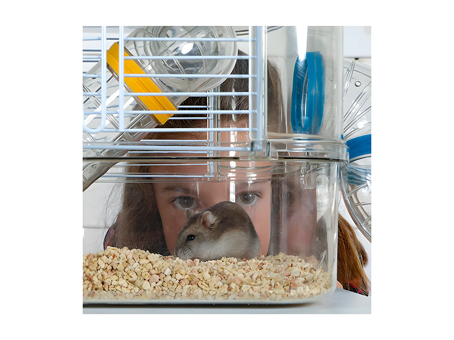 Cage pour petits rongeurs Rody 3 duo